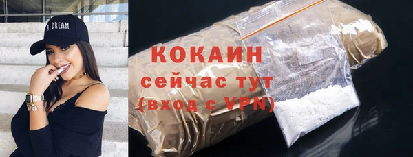 ПСИЛОЦИБИНОВЫЕ ГРИБЫ Кулебаки