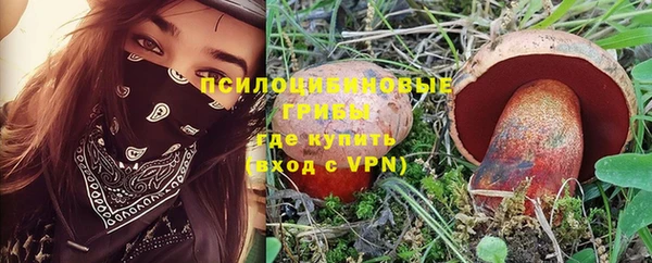 гашик Кукмор