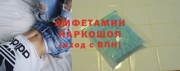 ПСИЛОЦИБИНОВЫЕ ГРИБЫ Кулебаки