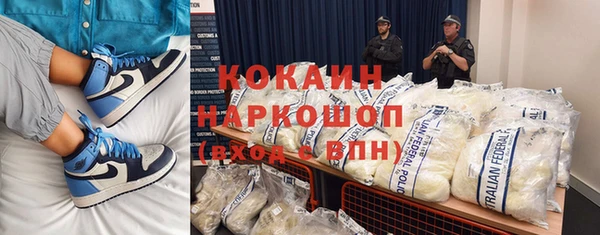 ПСИЛОЦИБИНОВЫЕ ГРИБЫ Кулебаки